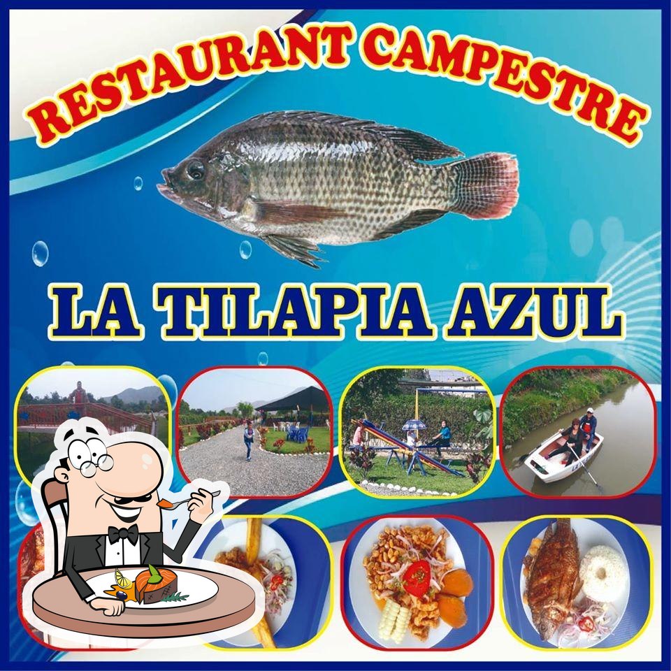 La Tilapia AZUL Restaurante Campestre, Huaral Opiniones del restaurante