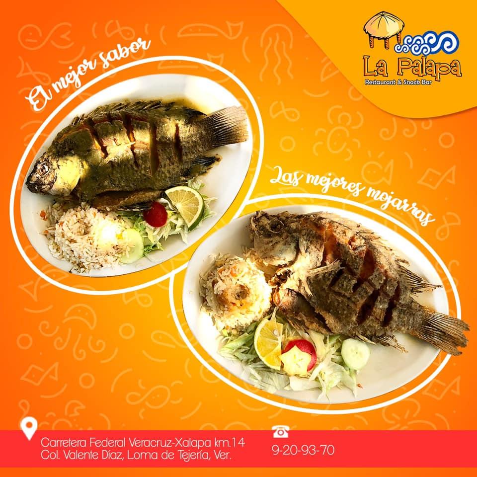 Pub y bar Mariscos La palapa- Oficial, Valente Díaz, Carretera Paso de  Ovejas-Veracruz - Opiniones del restaurante