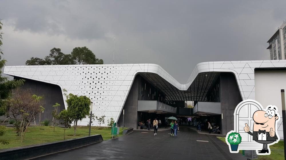 Pub y bar Terraza De La Cineteca Nacional, Ciudad López Mateos - Opiniones  del restaurante