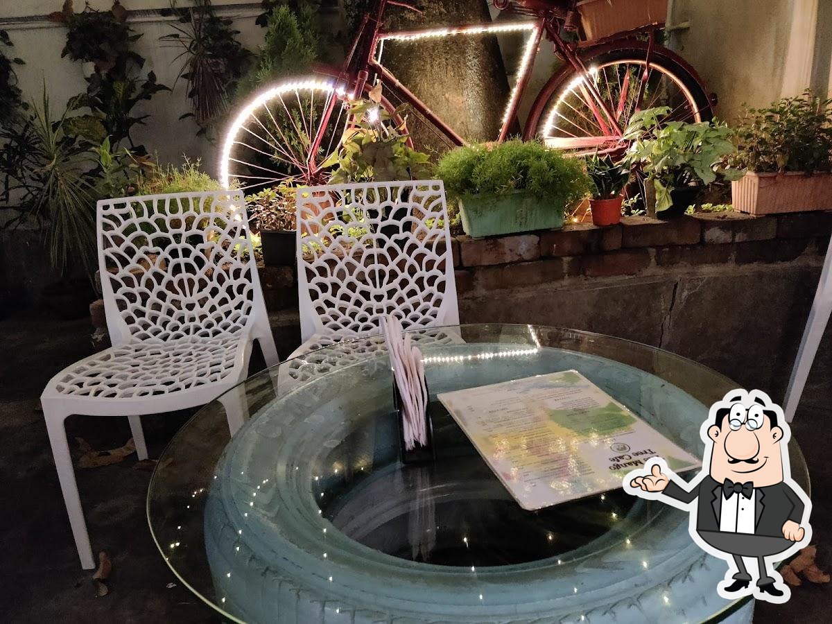 The Mango Tree Cafe, Asansol Restaurant reviews