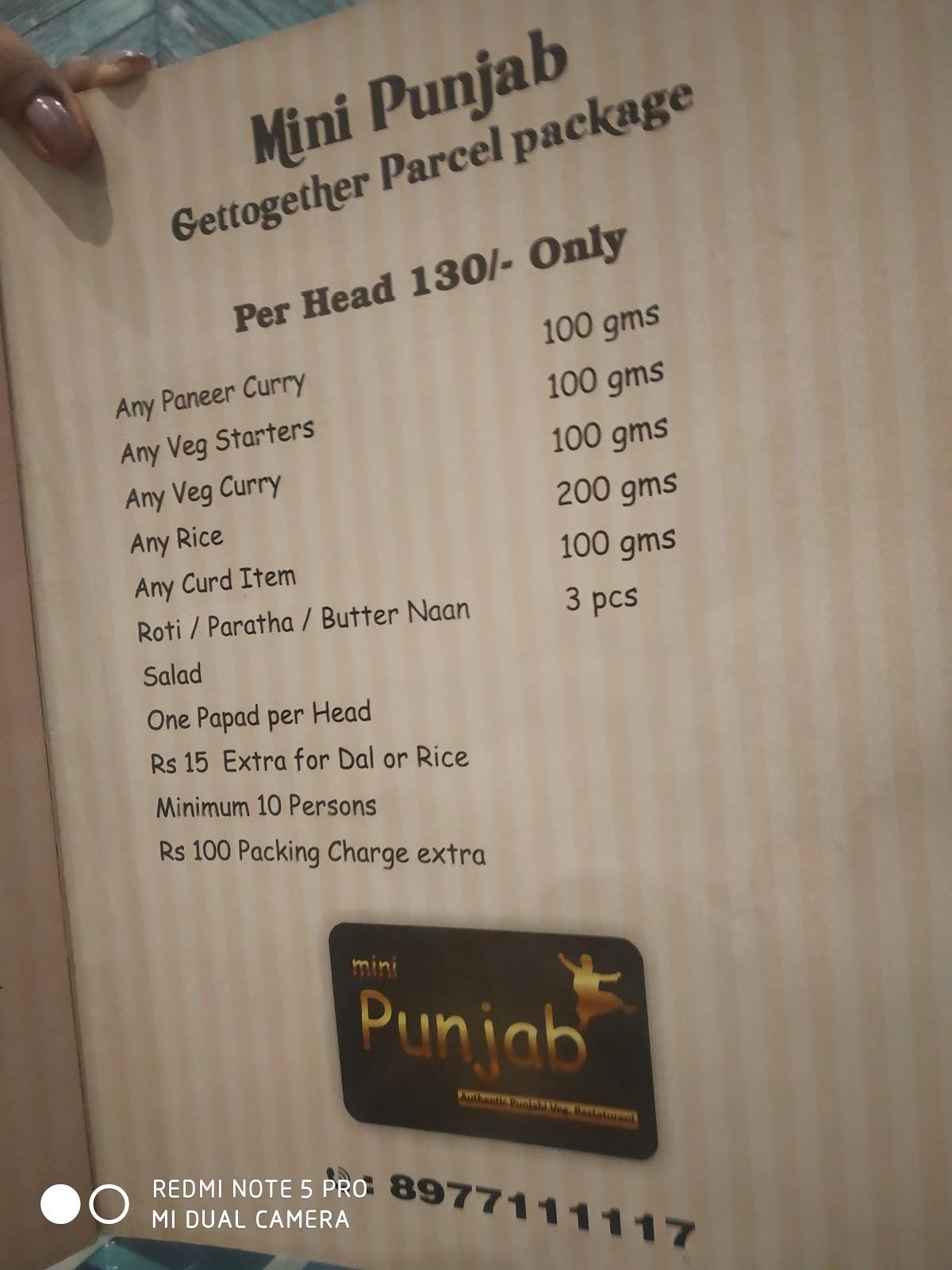 Mini Punjab Veg Restaurant menu