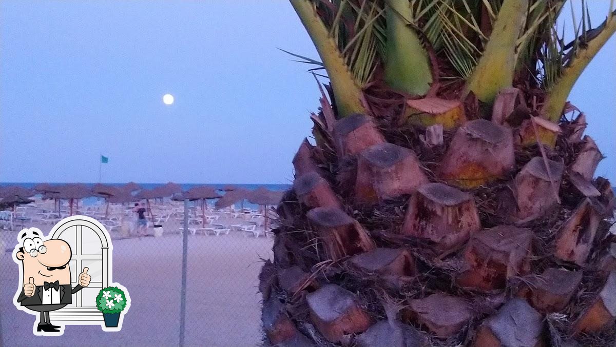 Beach bar, Hammamet Sud Restaurant reviews