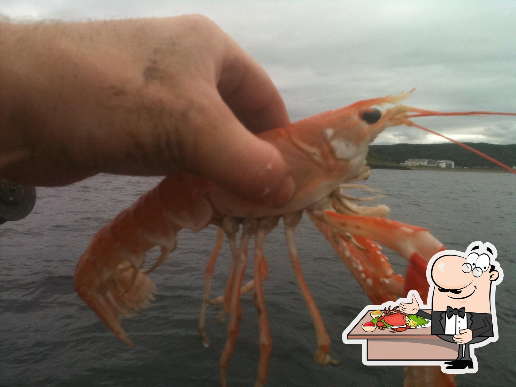 The Waterfront Fishouse Restaurant in Oban - Restaurant menu and reviews