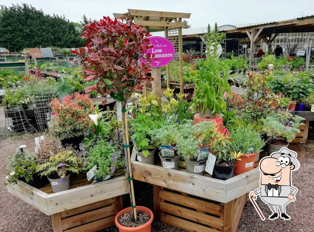 Hill Garden Centre Aquatics Fasci Garden