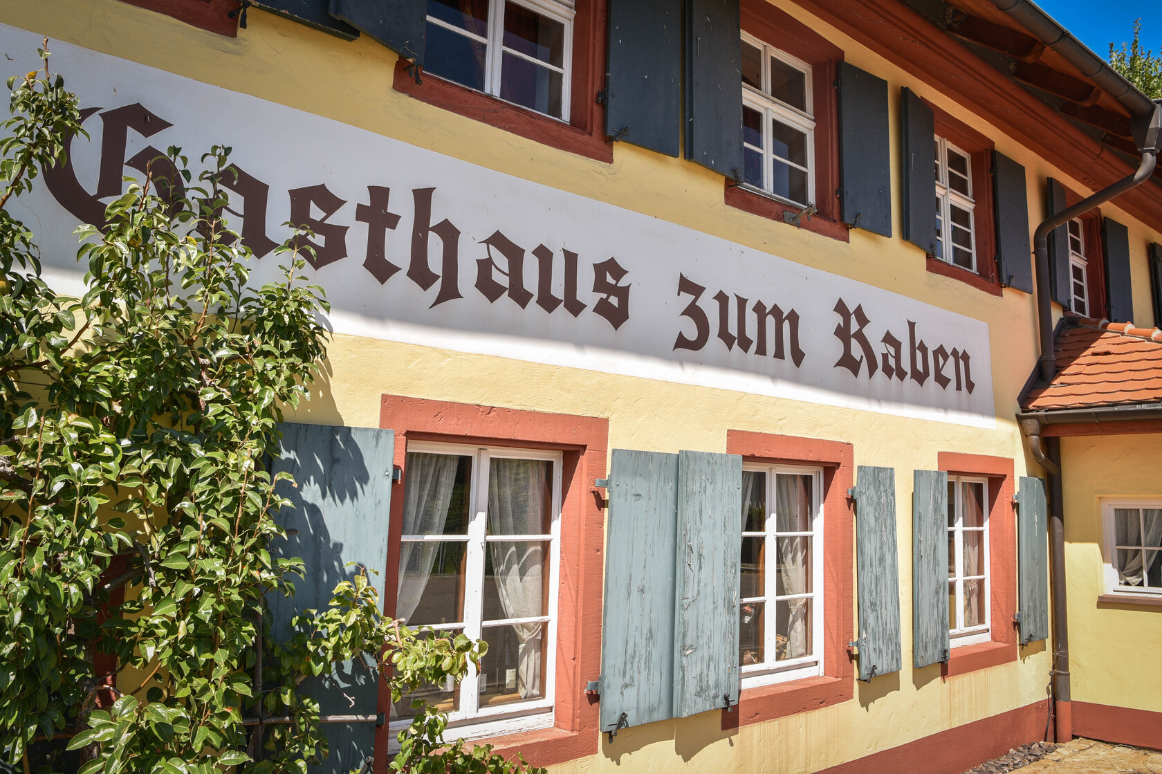 Raben - Horben