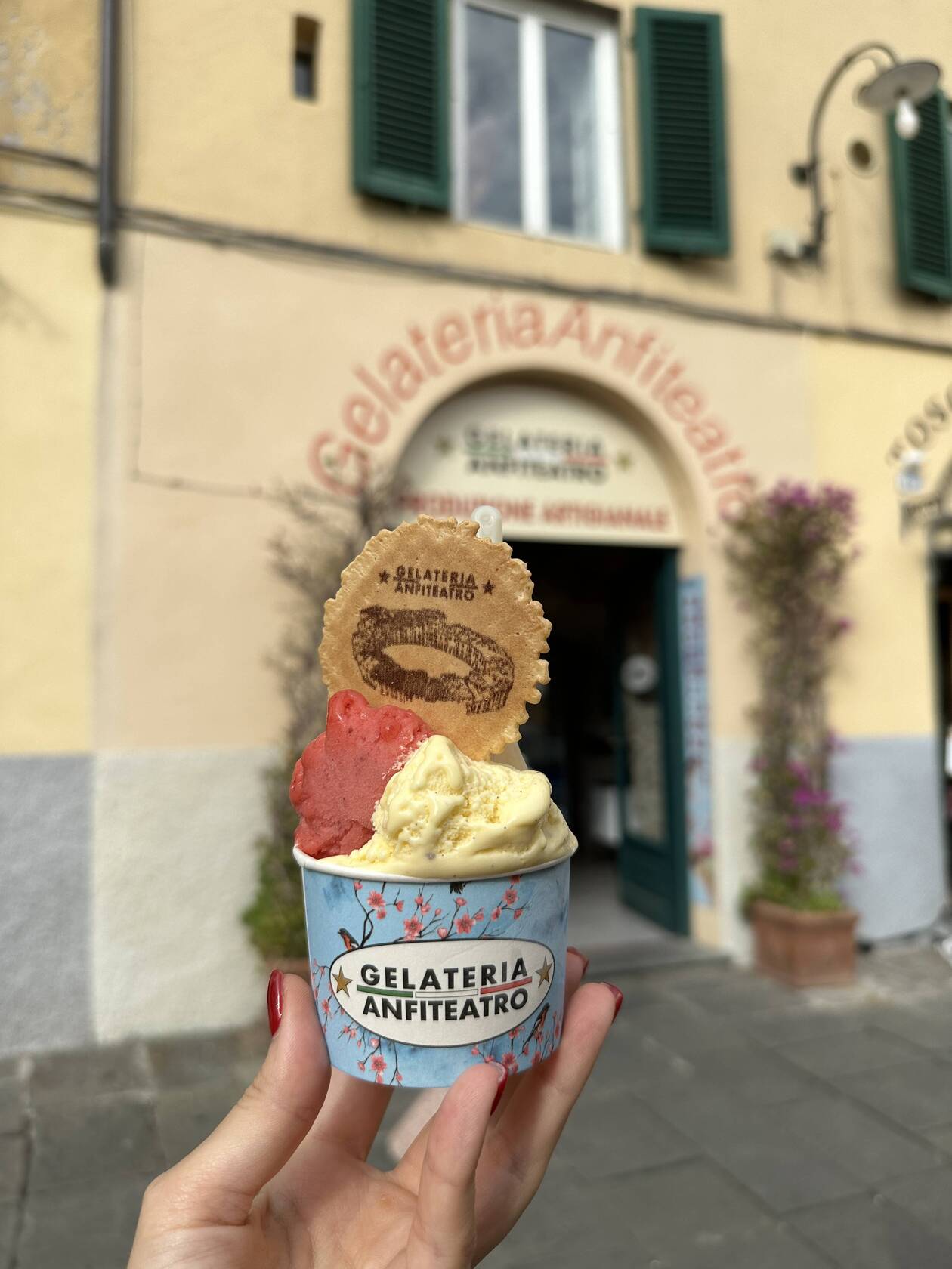 Gelateria Anfiteatro