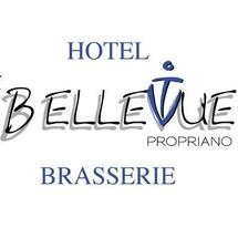 Hotel Bellevue 14 cbre 13 av Napoléon 3 CV