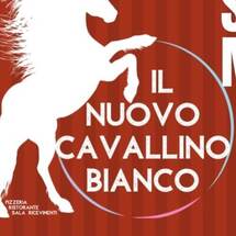 Il Cavallino Bianco di Luzzi Giancarlo