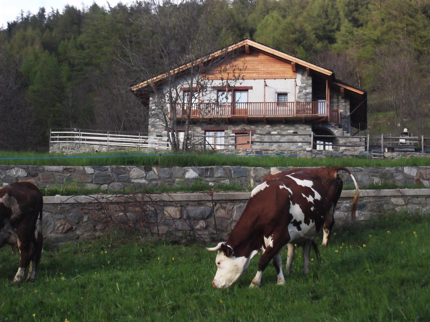 Agriturismo Les Aigles