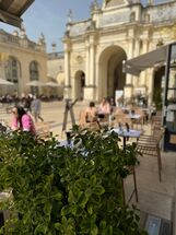 Amis Nancy - Restaurant Bistronomique Place Stanislas