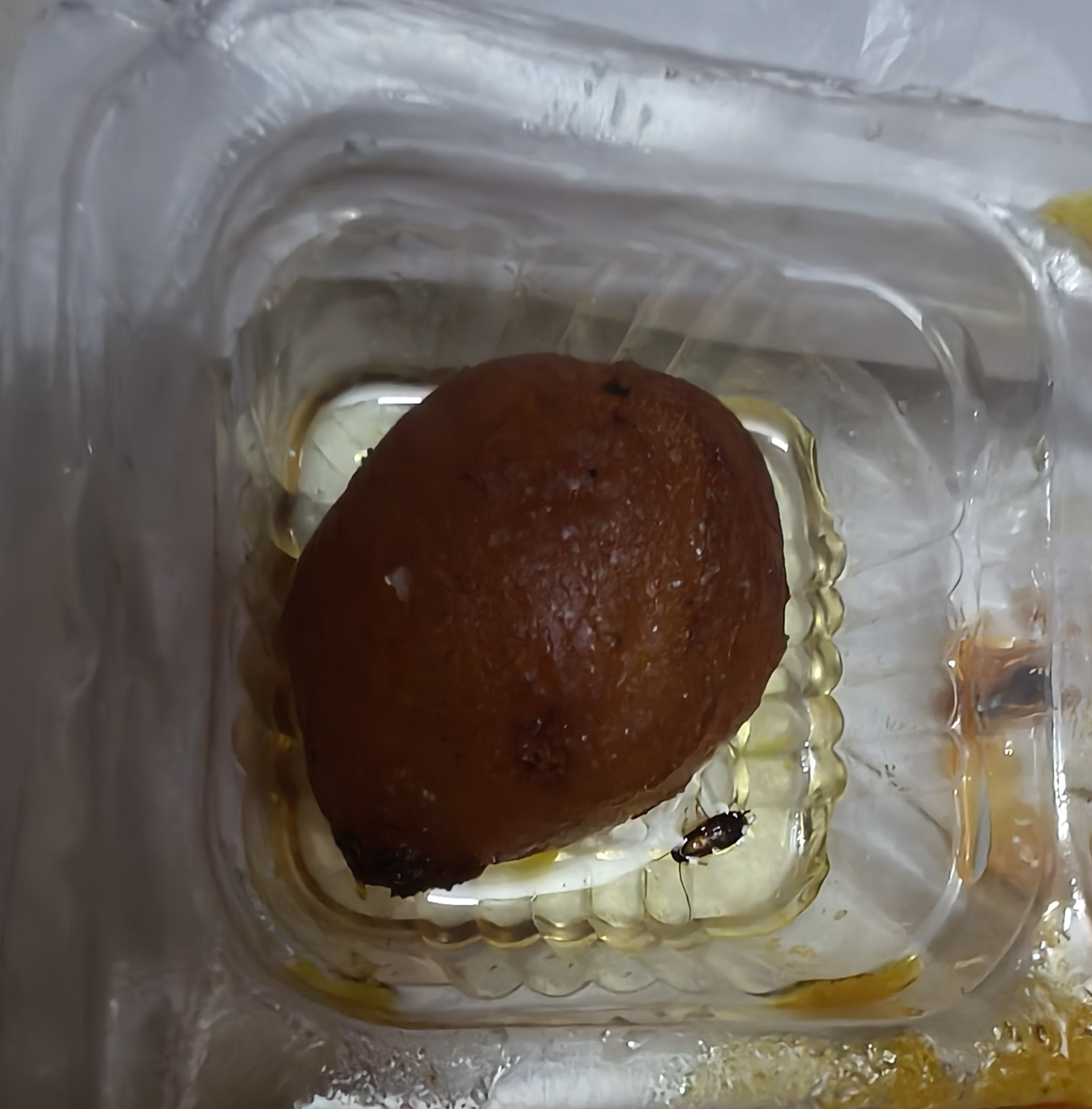 Photo from Restaurant Guru