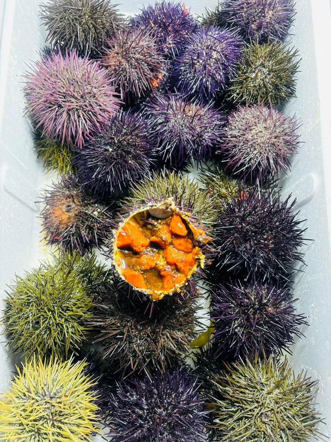Foto di Restaurant Guru