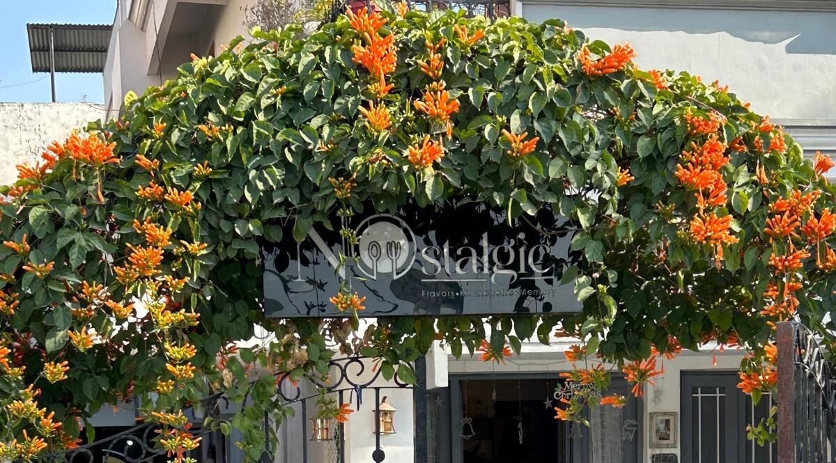 Photo from Restaurant Guru