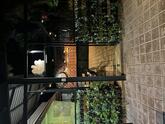 Photo from Restaurant Guru