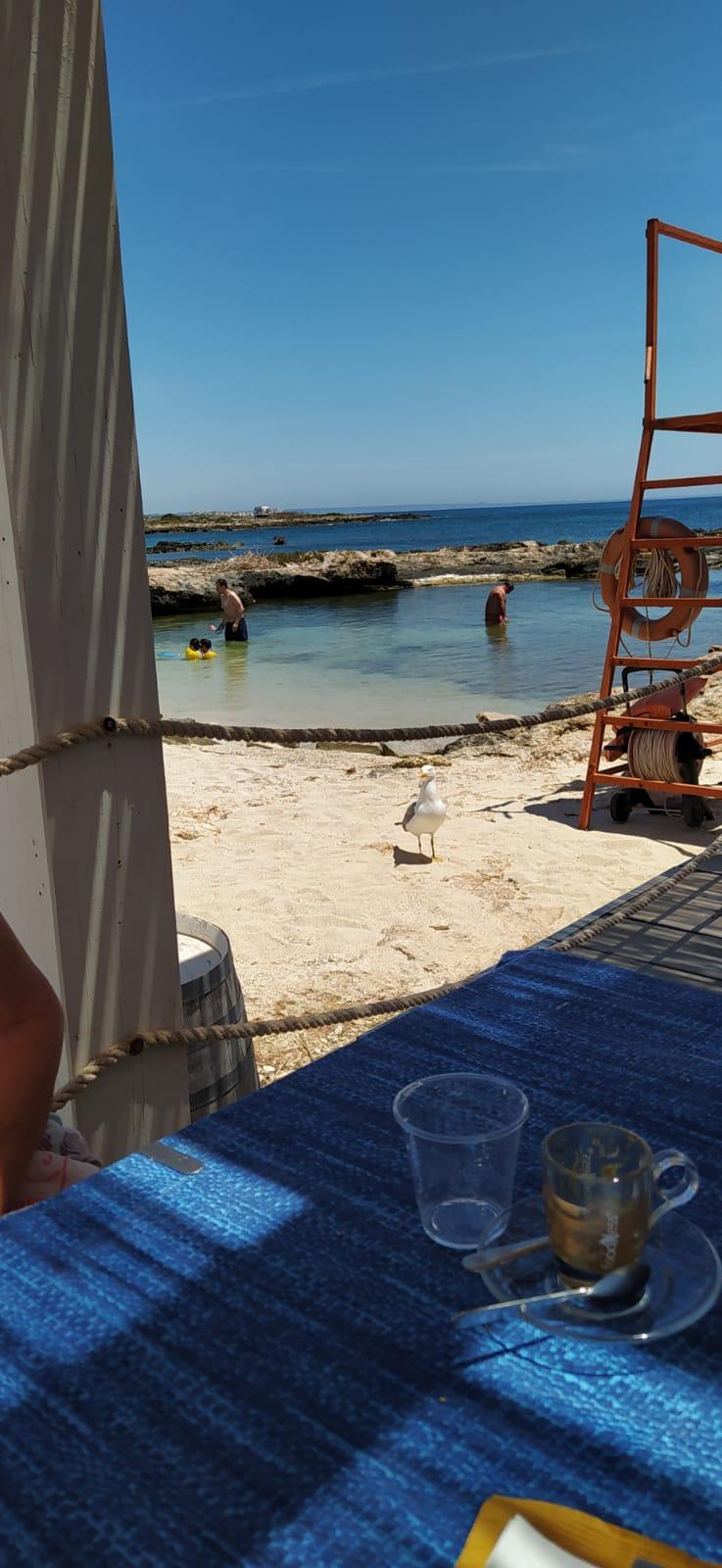 Foto di Restaurant Guru
