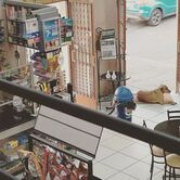 Foto do Restaurant Guru
