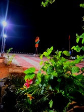 Photo from Restaurant Guru