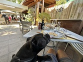 Foto di Restaurant Guru