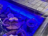 Photo de Restaurant Guru