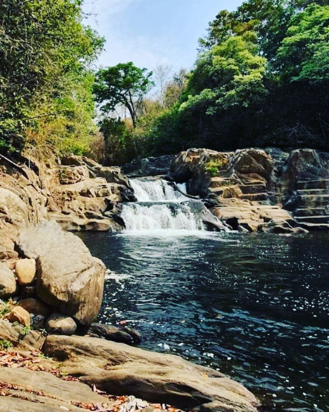 Foto do Restaurant Guru