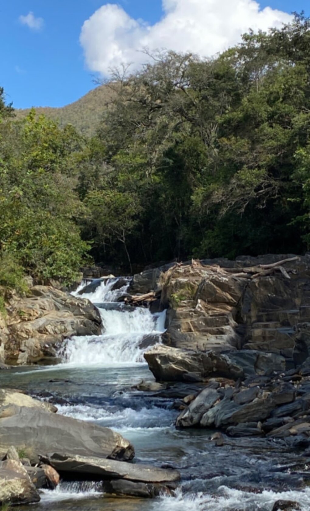 Foto do Restaurant Guru