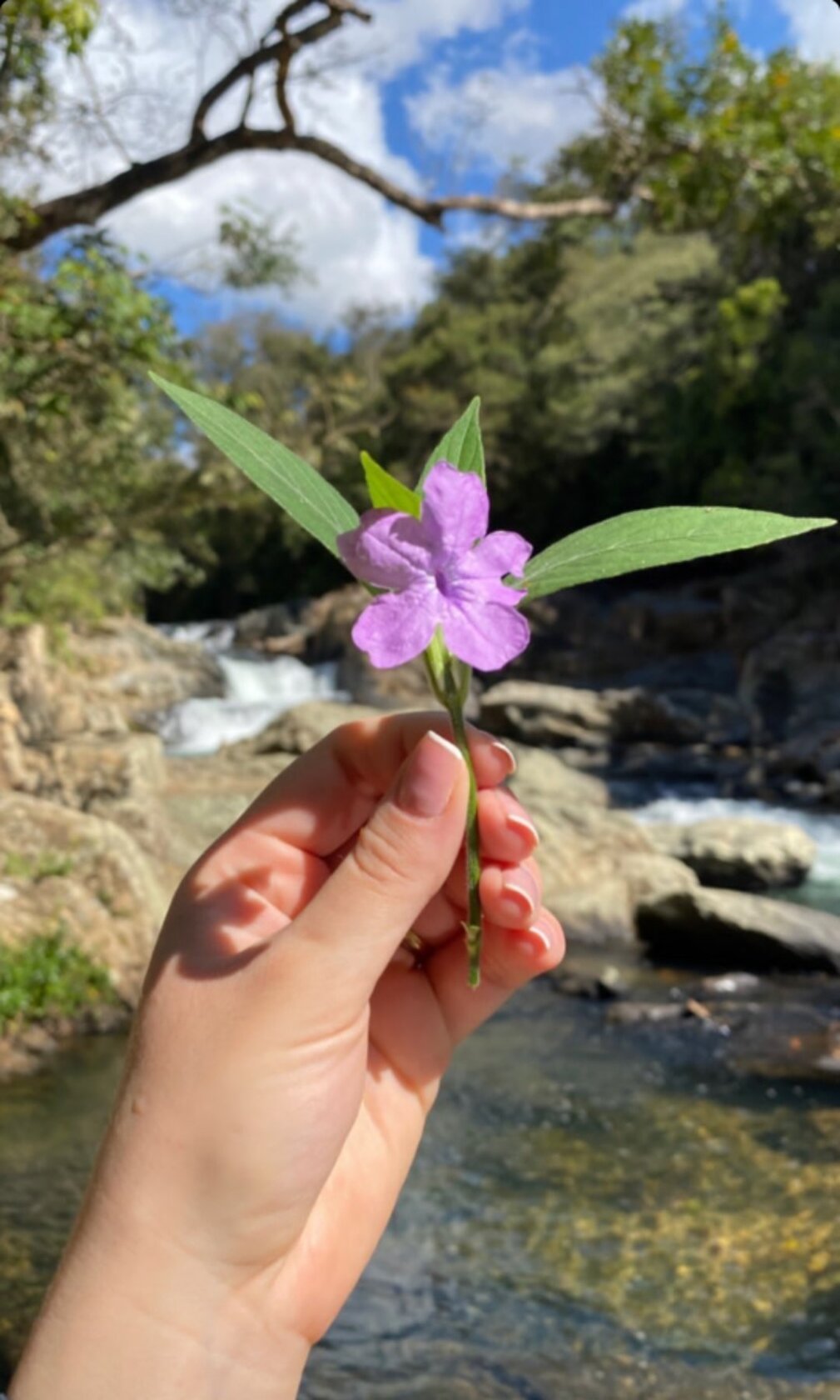 Foto do Restaurant Guru