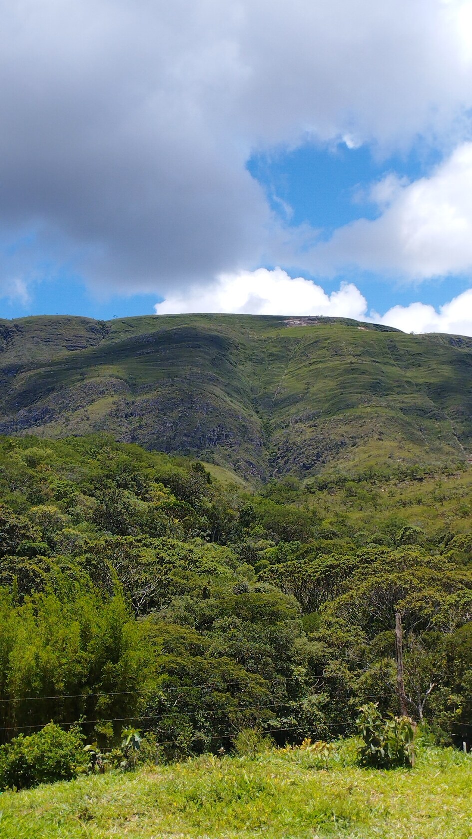 Foto do Restaurant Guru