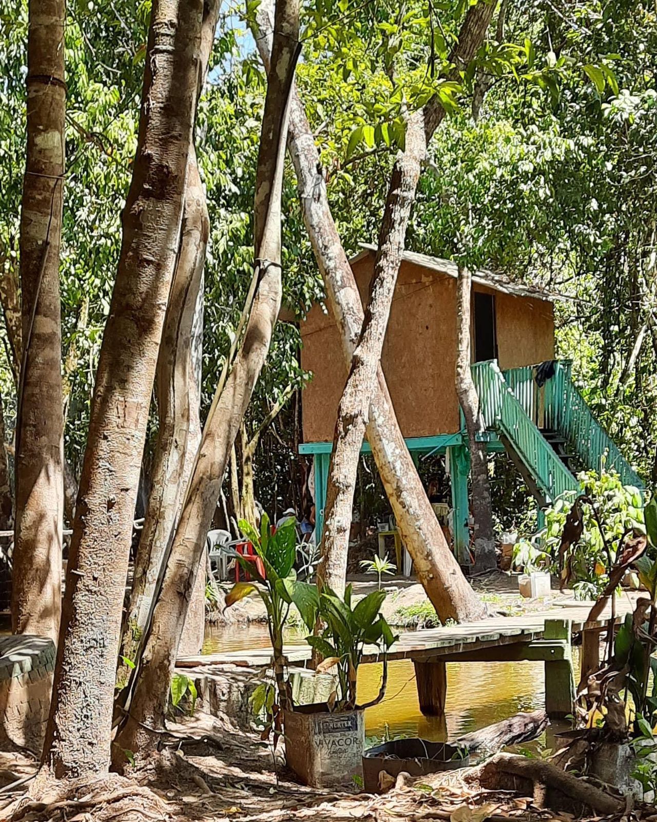 Foto do Restaurant Guru