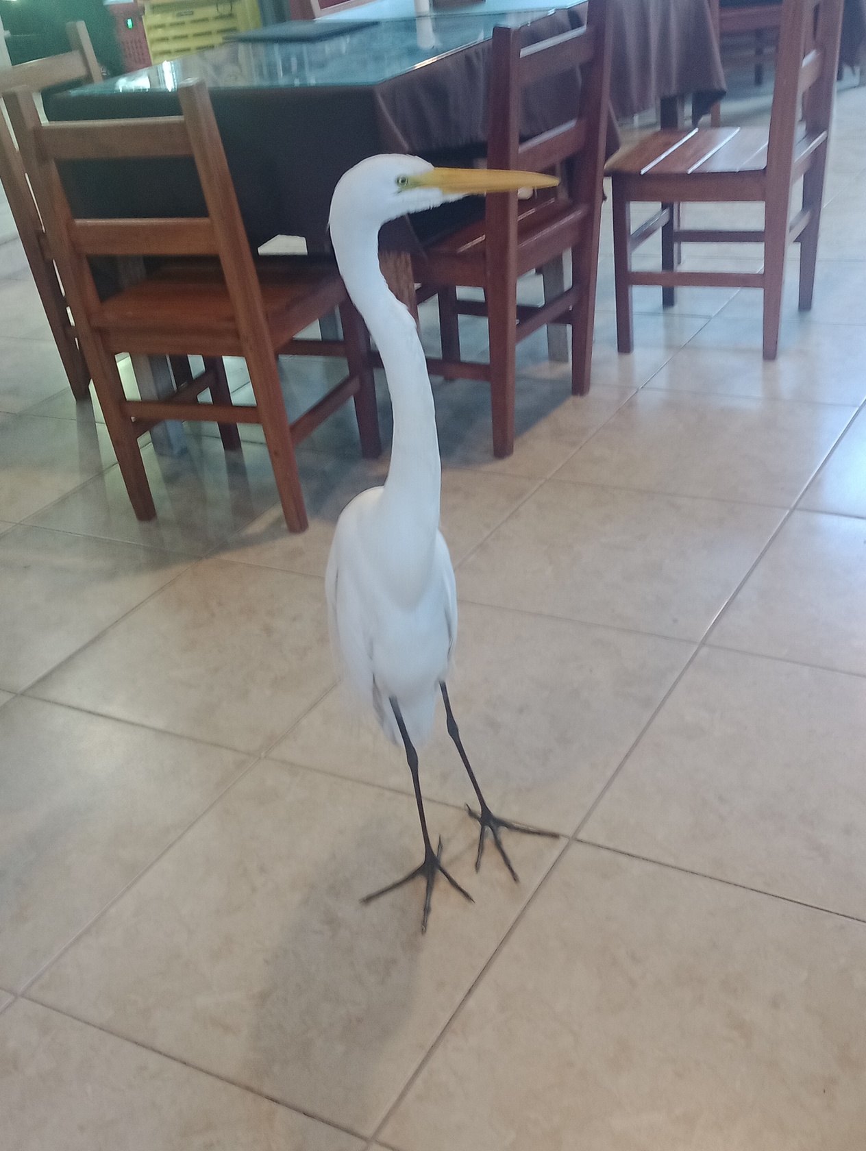 Foto do Restaurant Guru