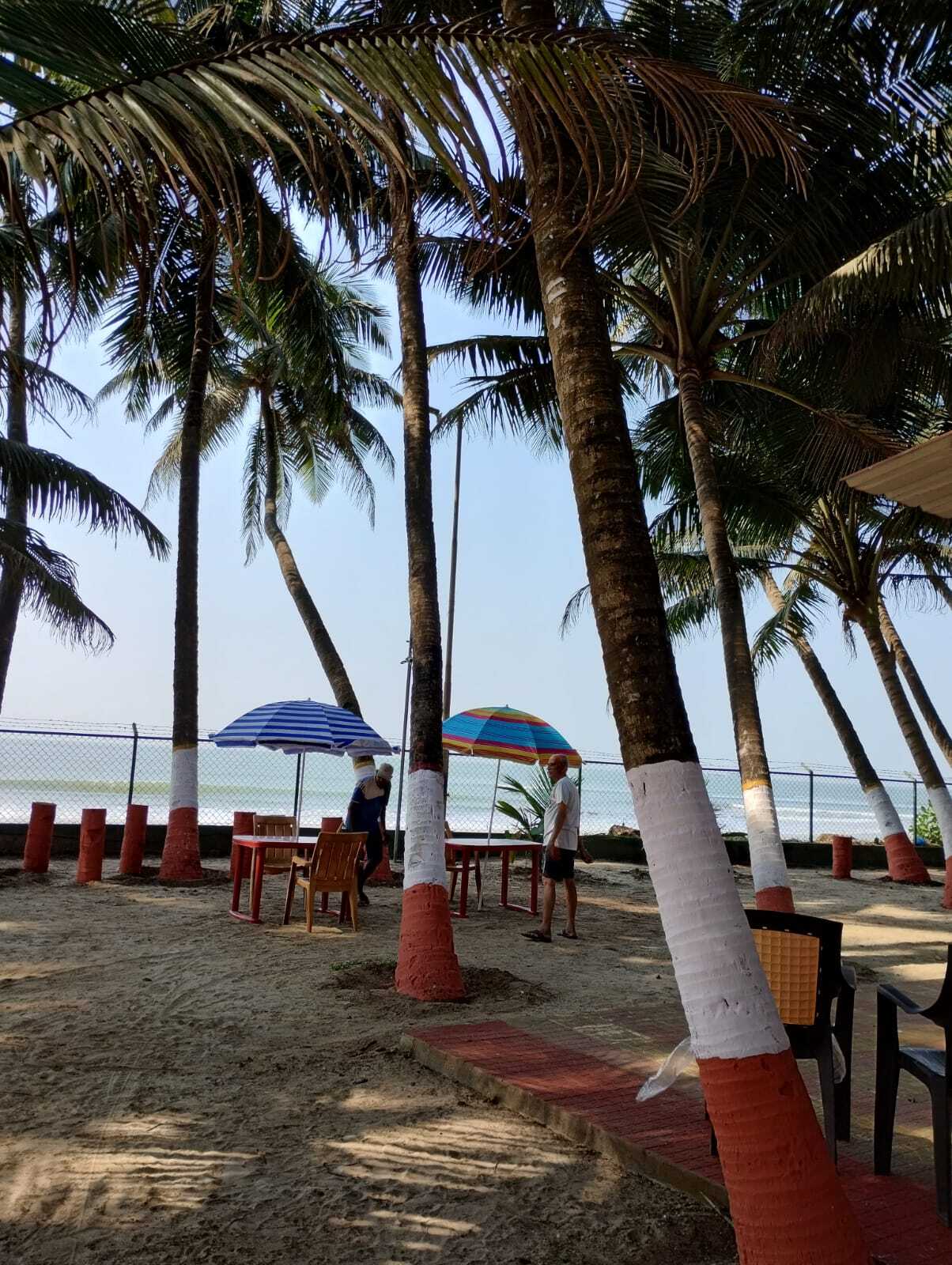 Photo from Restaurant Guru
