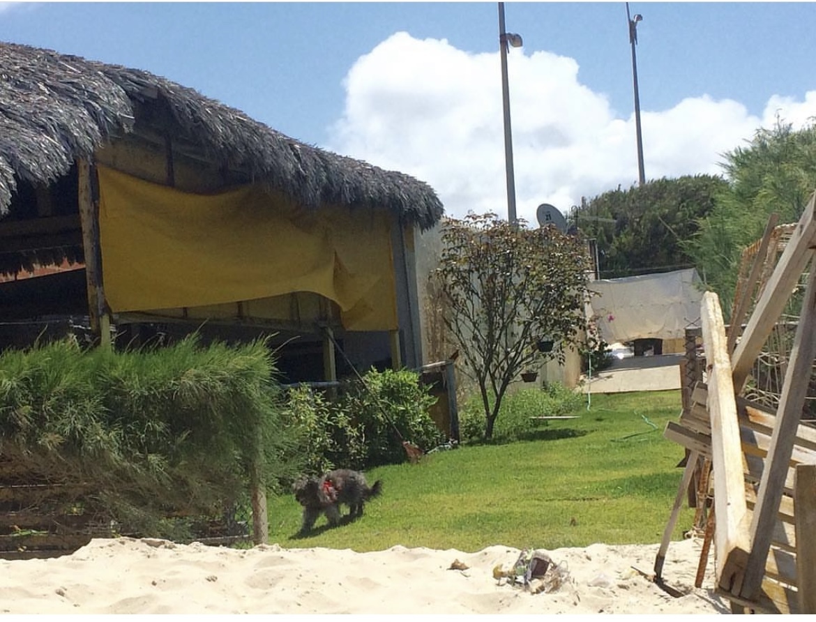 Foto do Restaurant Guru