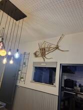 Photo de Restaurant Guru