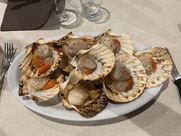 la tana del lupo