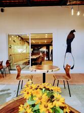 DRONGO CAFE