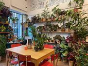 Un Brin De Folie, Fleuriste de Saison & Café