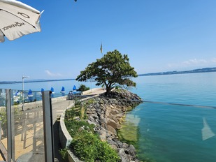 Photo de Restaurant Guru