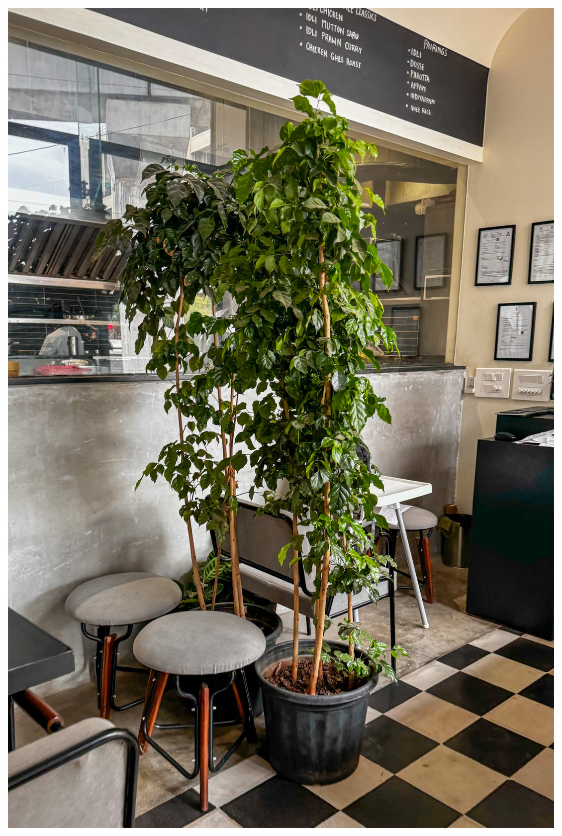 Photo from Restaurant Guru