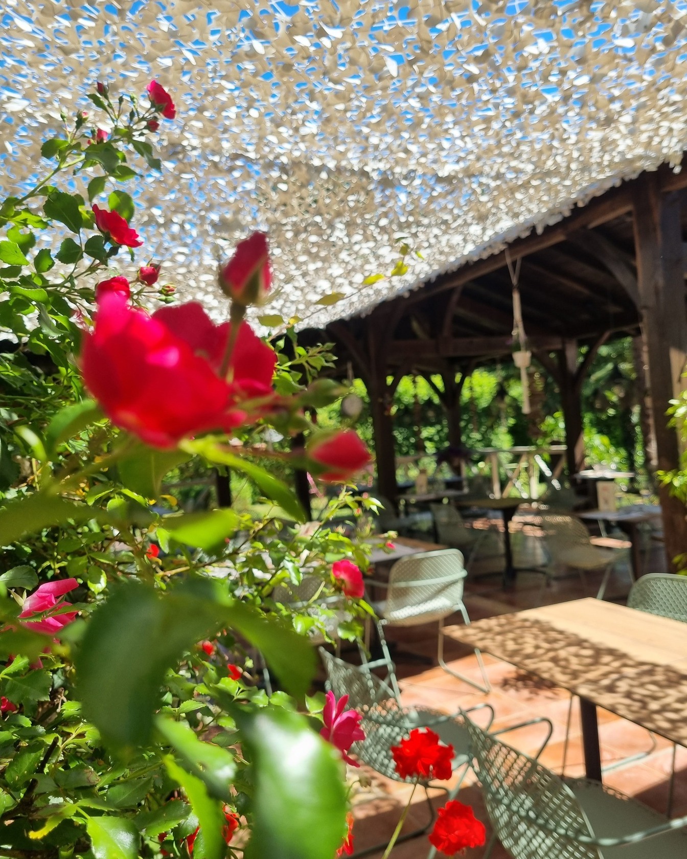 Photo de Restaurant Guru