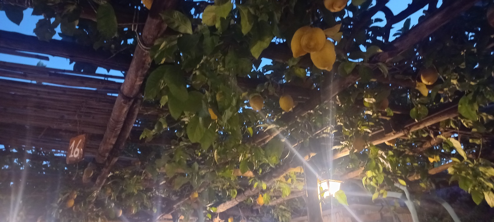 Foto di Restaurant Guru