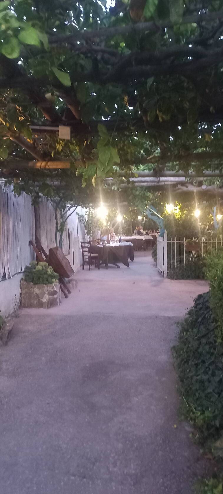 Foto di Restaurant Guru
