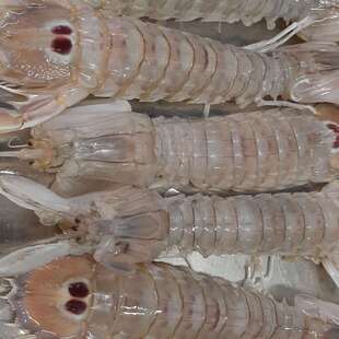 Foto di Restaurant Guru