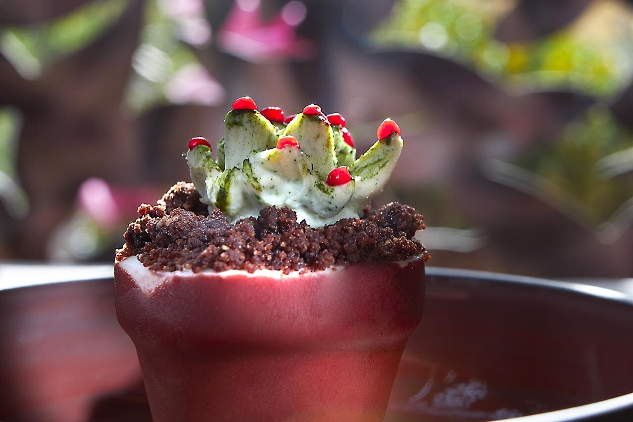 Photo de Restaurant Guru