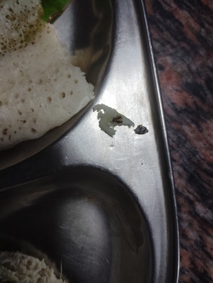 Photo from Restaurant Guru