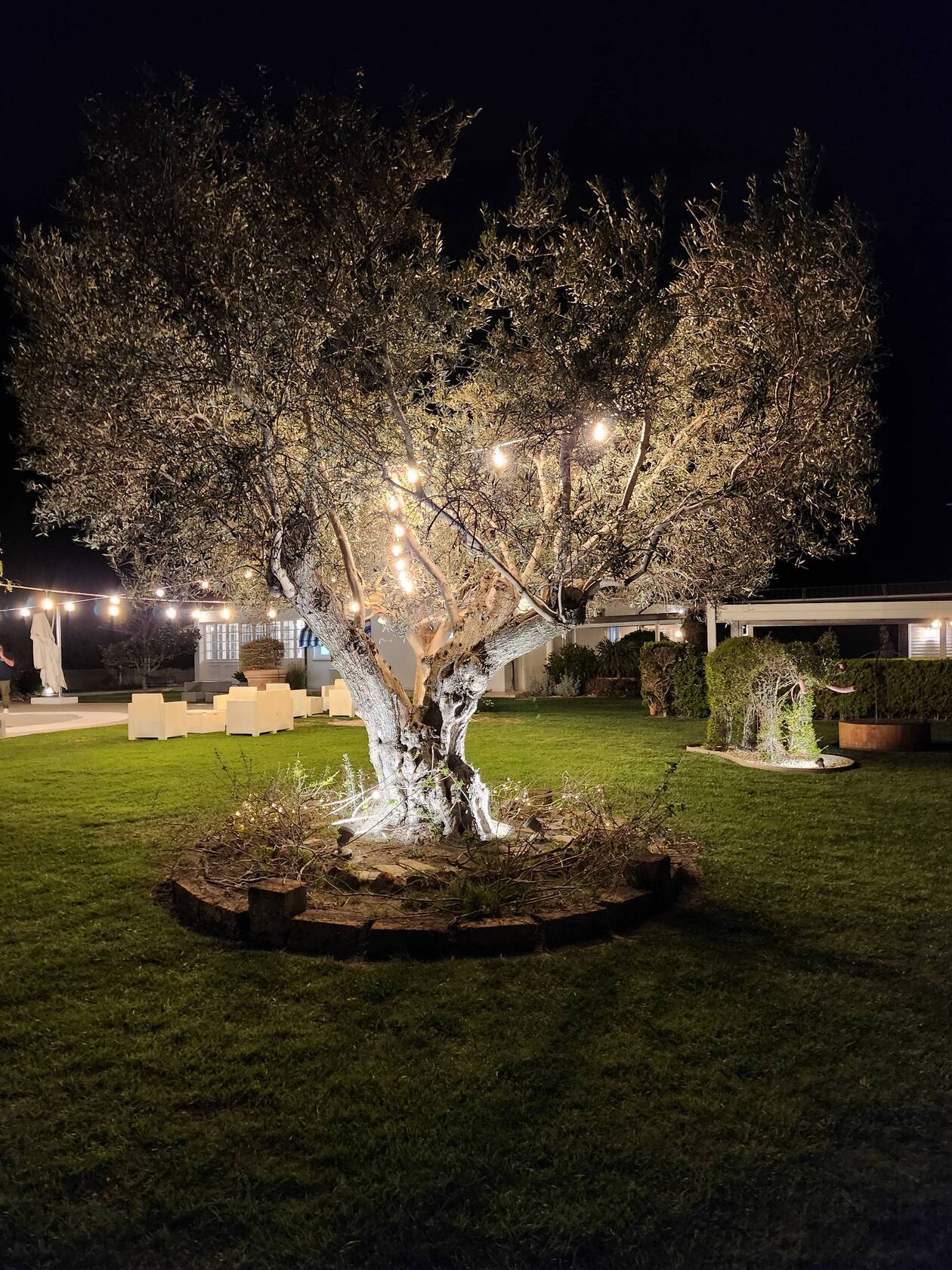 Foto di Restaurant Guru