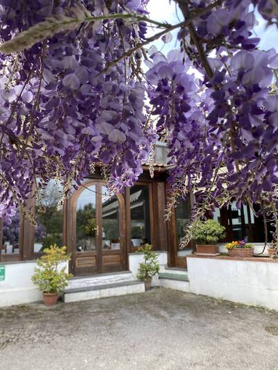 Ristorante Verdemare