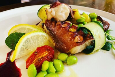 Trattoria Zaccaria foto