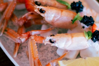 Trattoria Zaccaria foto