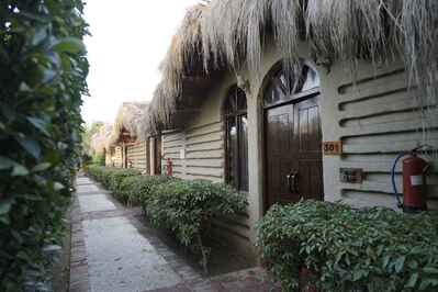 Themis Mudhouse photo