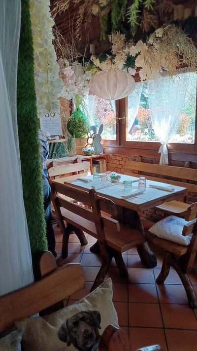 Trattoria Da Vito foto