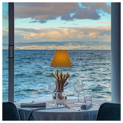 Restaurant le Radeau d' Alexis